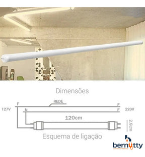 Kit 10 Lâmpadas Led Tubular 120cm 20w  T8 1,2m Branco Frio